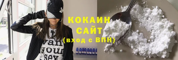 СК Коряжма