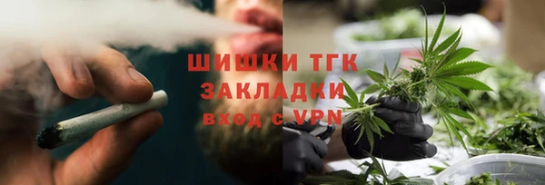 СК Коряжма