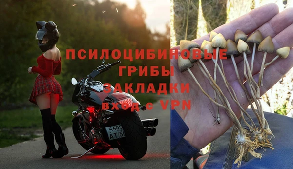 СК Коряжма