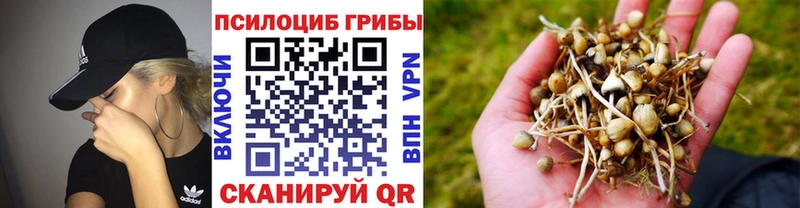 Галлюциногенные грибы Psilocybine cubensis  hydra ссылка  Урень  магазин продажи  